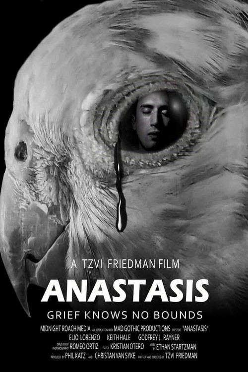 Anastasis (2020) poster