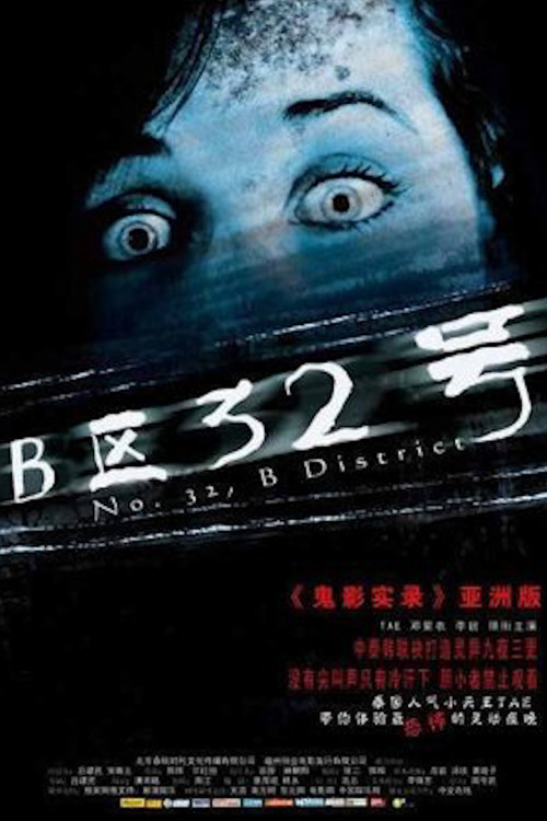B区32号 (2011) poster