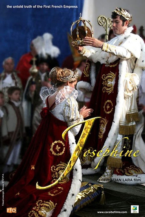 Le mystère Joséphine (2009) poster