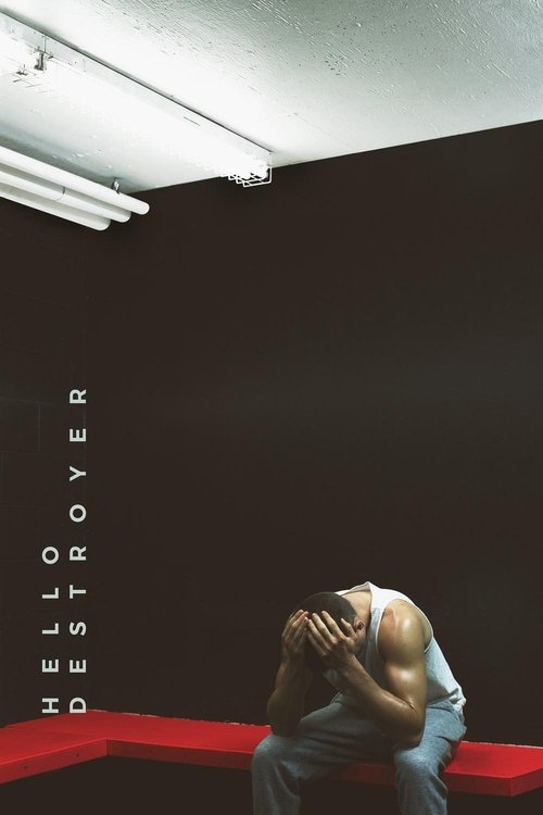 Hello Destroyer (2016) poster