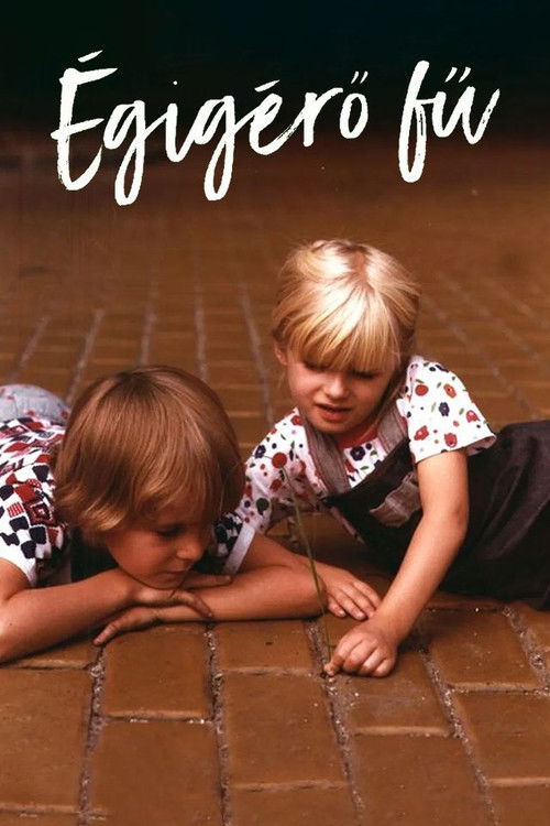 Égigérő fű (1979) poster