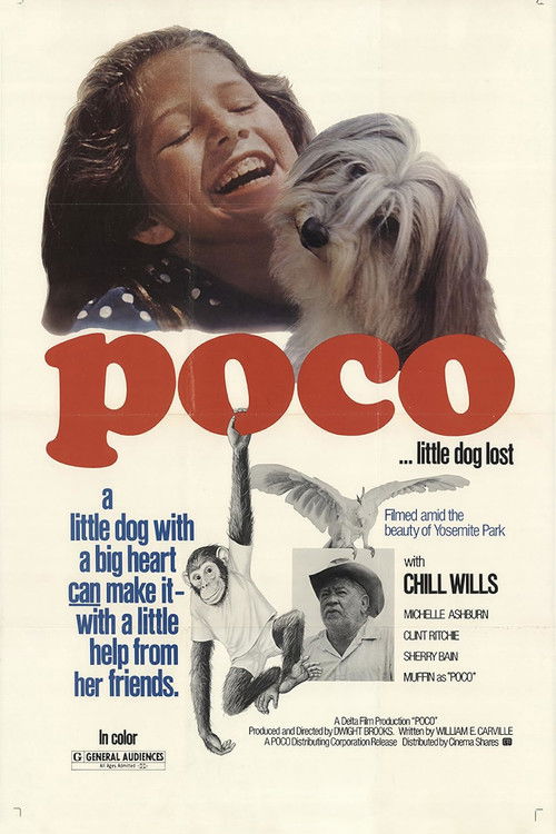 Poco… Little Dog Lost (1977) poster