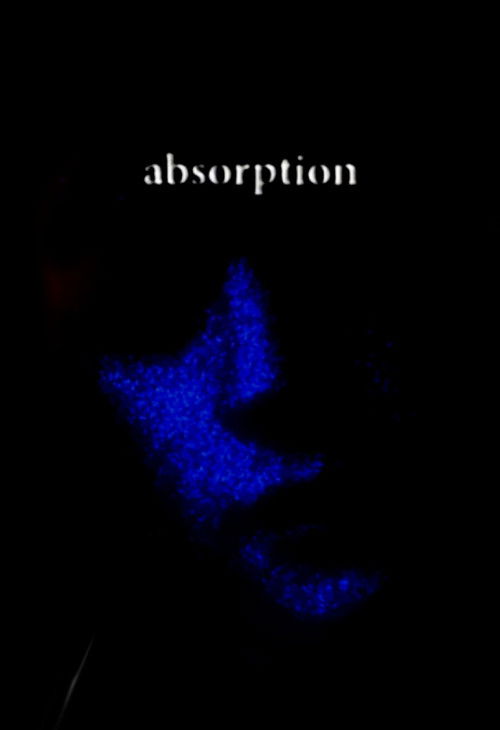 Absorption (2025) poster