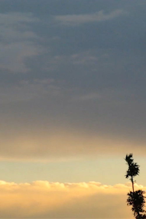 Marlene. El diablo sobre las colinas (2024) poster