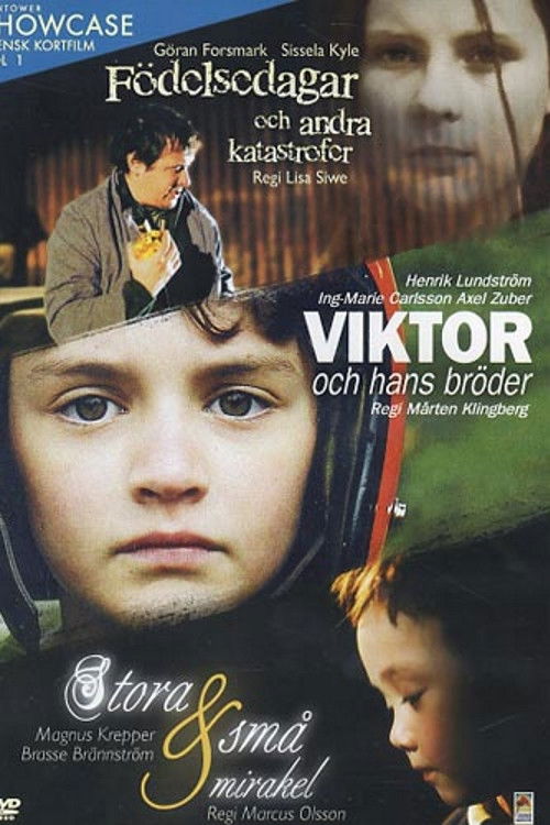 Födelsedagar och andra katastrofer (1999) poster