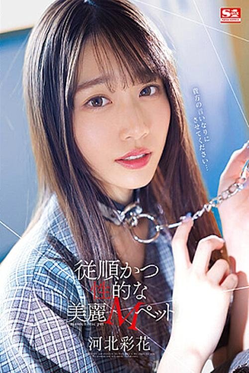Obedient And Sexual Beautiful M Pet Kawakita Ayaka (2023) poster