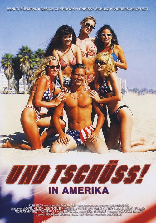Und tschüss! In Amerika (1996) poster