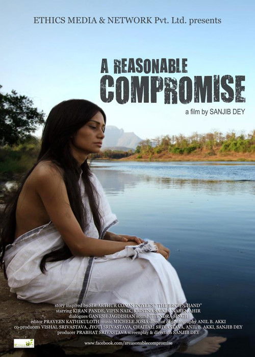 A Reasonable Compromise (2011) poster