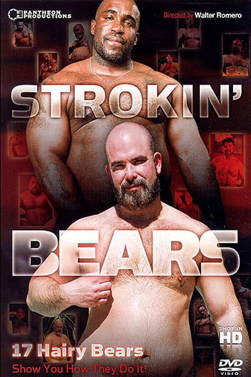Strokin' Bears (2010) poster