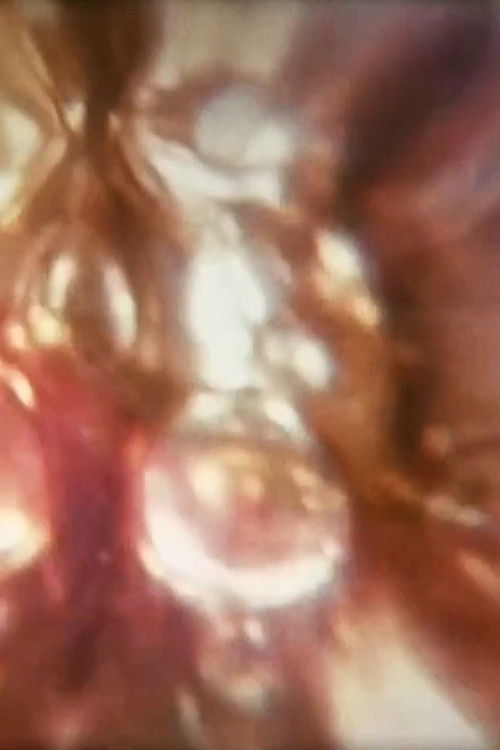 Aphrodisiac I (1971) poster