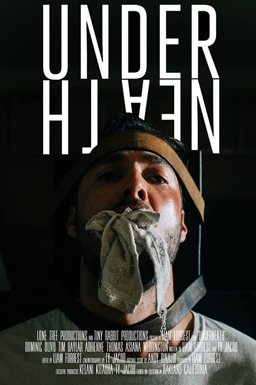 Underneath (2020) poster