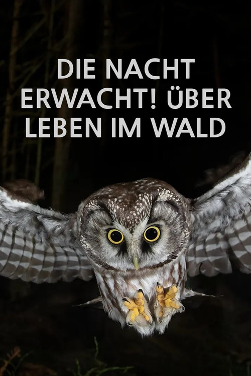 Die Nacht erwacht! Über Leben im Wald (2024) poster