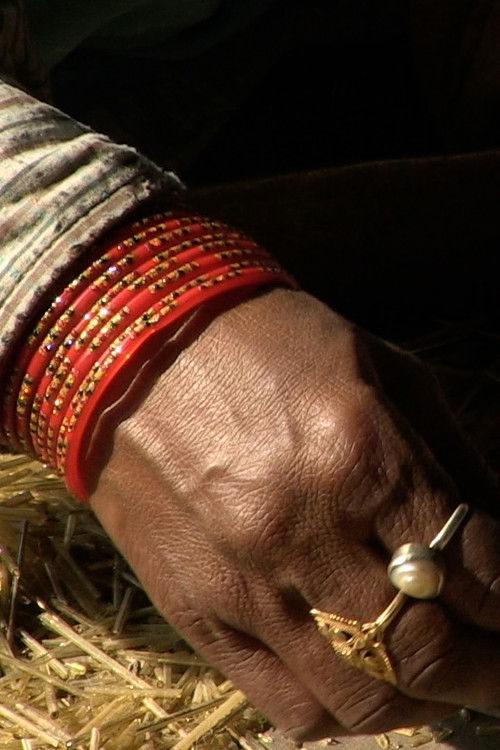 Bhagwati (2019) poster