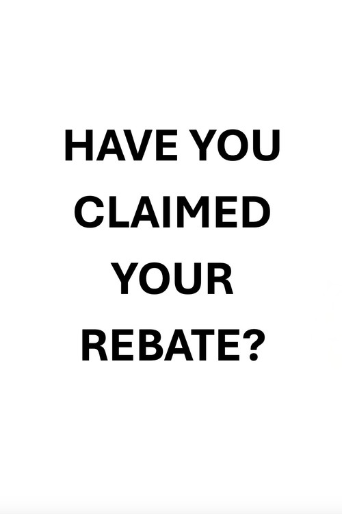 Taxman (2024) poster