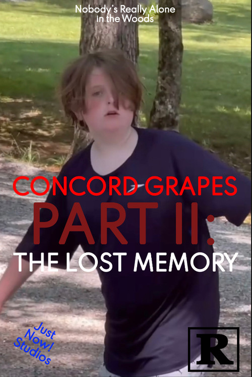 Concord Grapes Part II: The Lost Memory (2024) poster