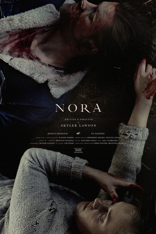 Nora (2017) poster