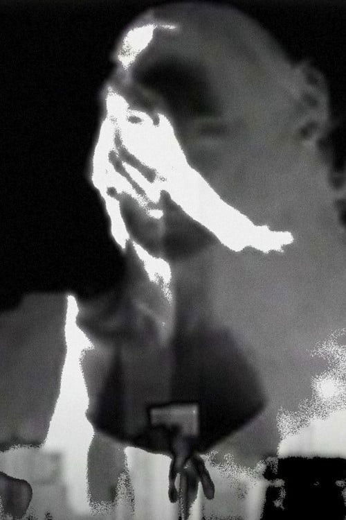 Extraordinário Travelling poster