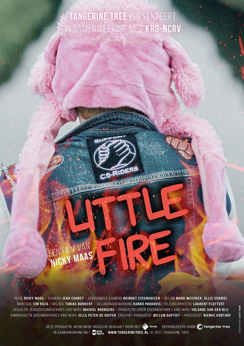 Little Fire (2017) poster