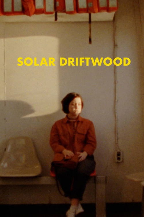 Solar Driftwood (2020) poster