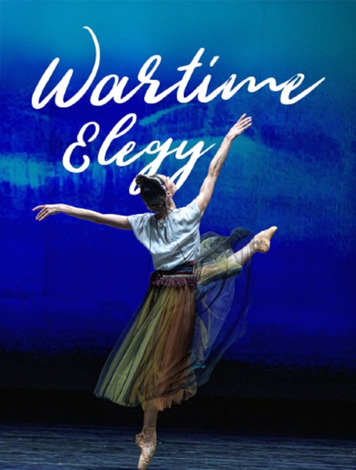 Wartime Elegy - Une soirée de ballet à l'Opéra national d'Ukraine (2024) poster
