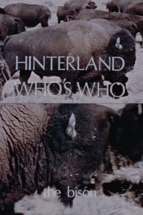 Hinterland Who's Who: The Bison (1973) poster