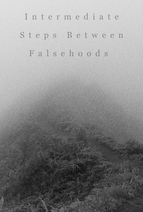 Intermediate Steps Between Falsehoods poster