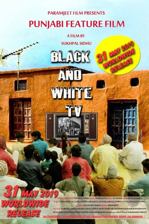 BLACK AND WHITE TV (2019) poster