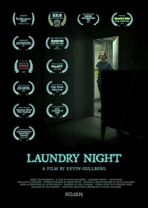 Laundry Night poster
