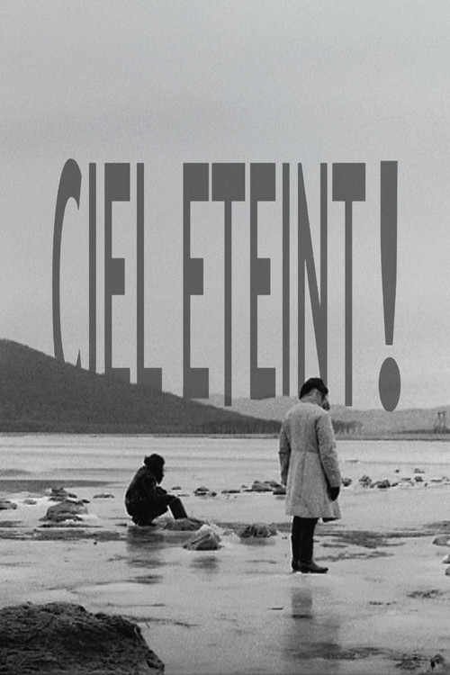 Ciel éteint ! (2008) poster