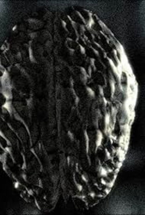 Headcleaner (1999) poster