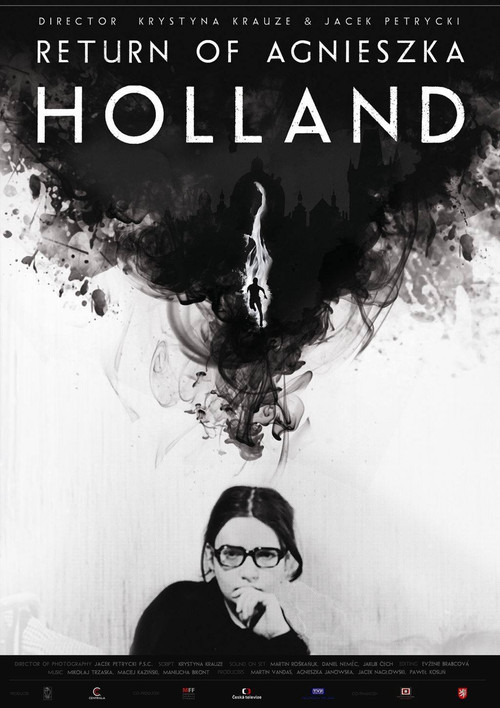 Powrót Agnieszki H. (2014) poster