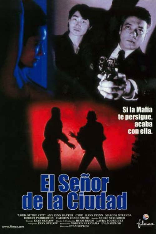 Lord of the City (1997) poster