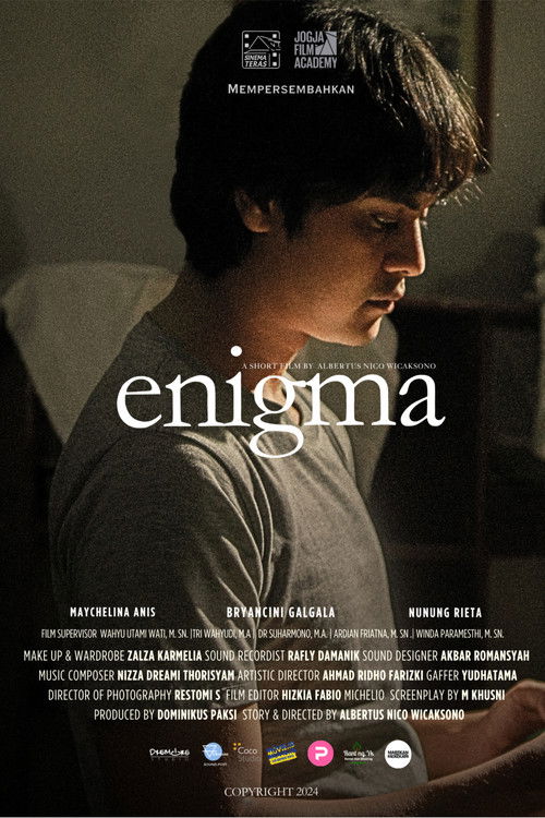 Enigma (2024) poster