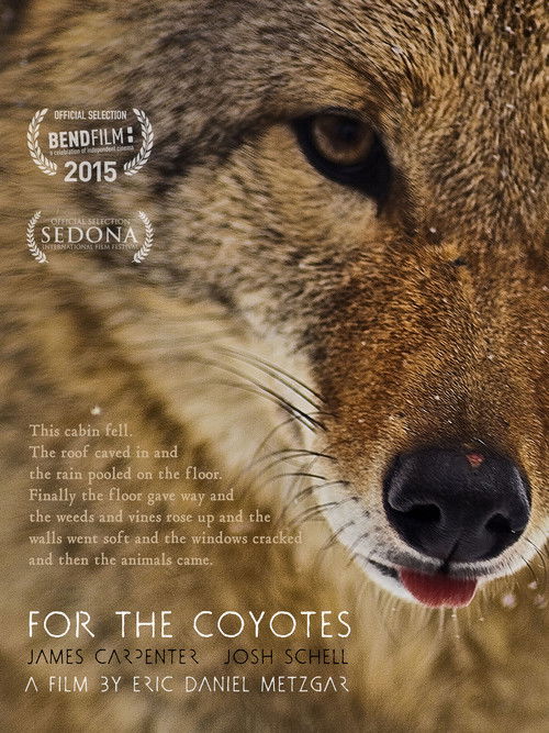 For the Coyotes (2015) poster