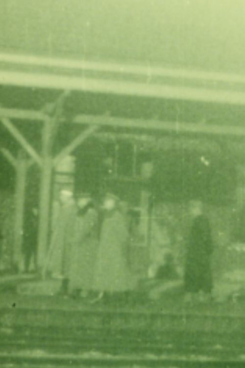 Kaiser Wilhelm in Eijsden (1918) poster