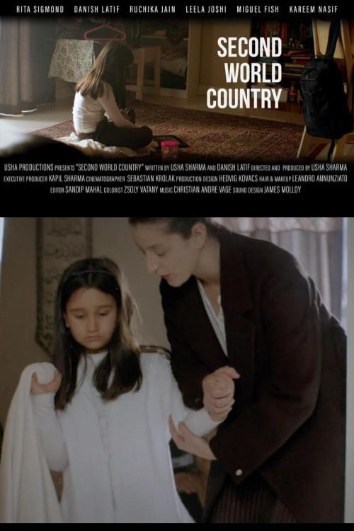 Second World Country (2022) poster