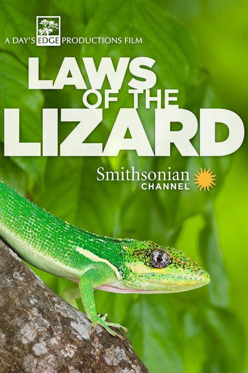 Laws of the Lizard (2017) poster