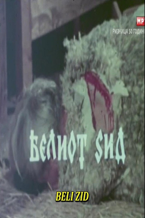 Белиот ѕид (1978) poster