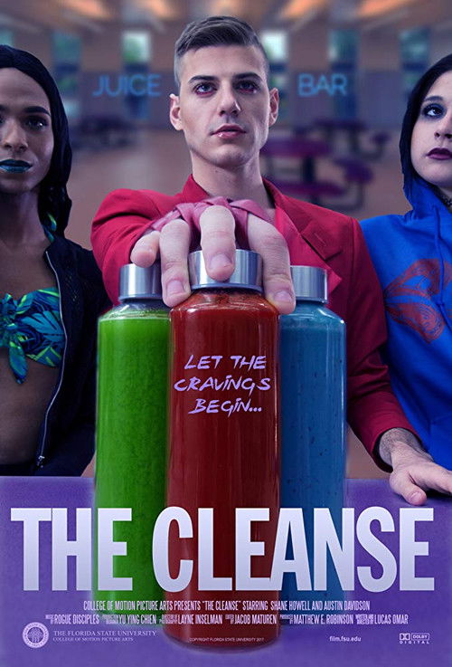 The Cleanse (2018) poster