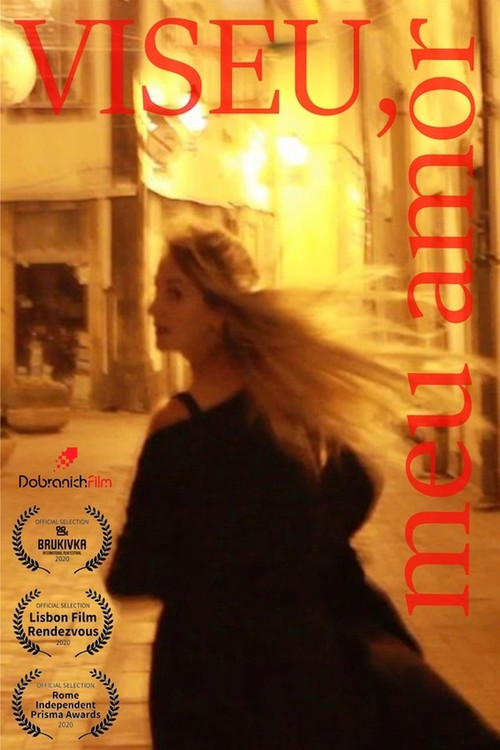 Viseu, my love (2020) poster