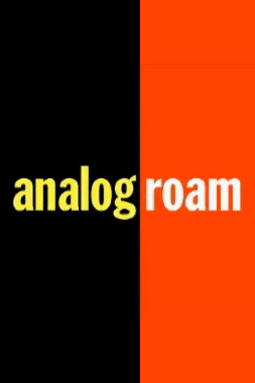 Analog Roam (2002) poster