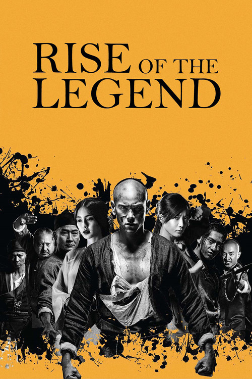 Rise of the Legend (2014) poster