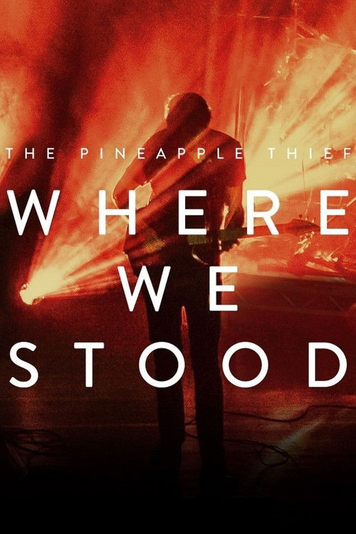The Pineapple Thief: Where We Stood (2017) poster