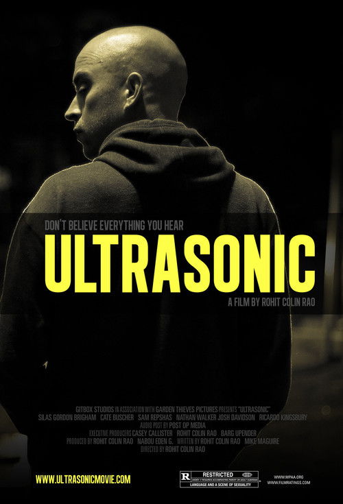 Ultrasonic (2012) poster