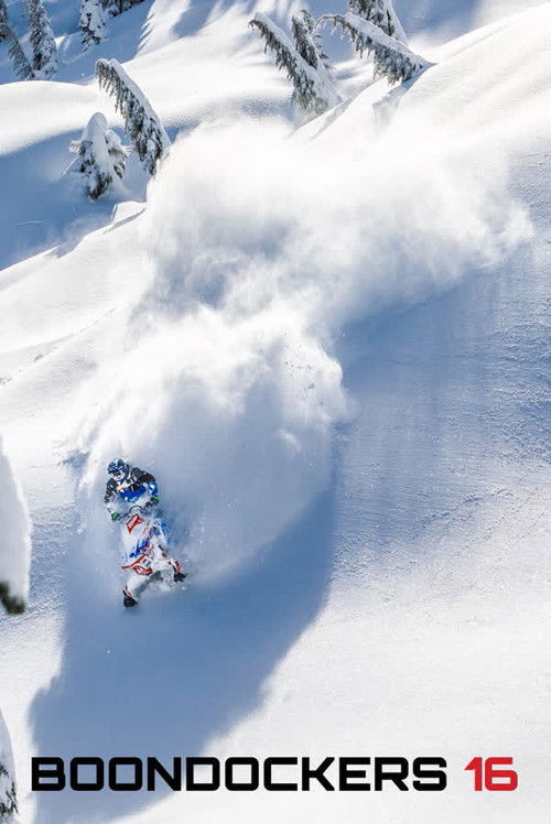 Boondockers 16 (2019) poster