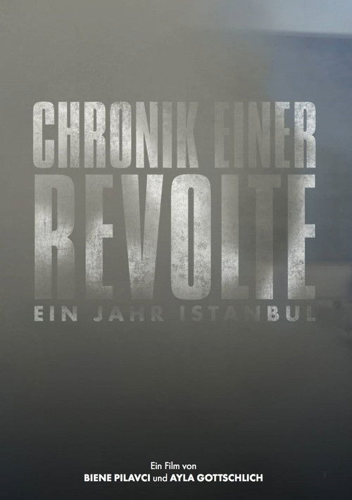 Chronicle of a Revolt: One Year Istanbul (2015) poster