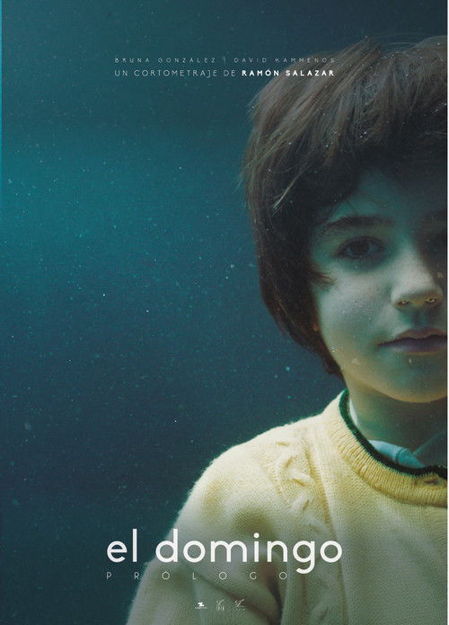 El domingo (2017) poster