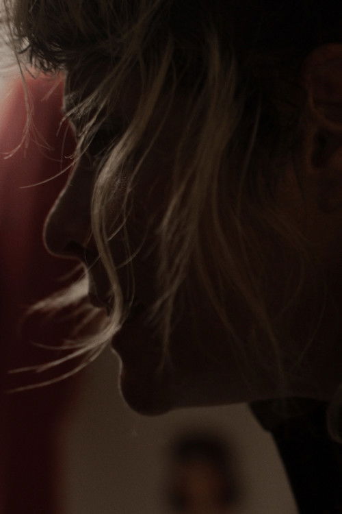 Las Cosas que no Puedo Cambiar (2024) poster