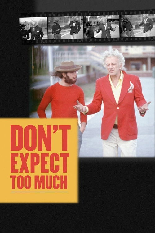 Don't Expect Too Much (2011) poster