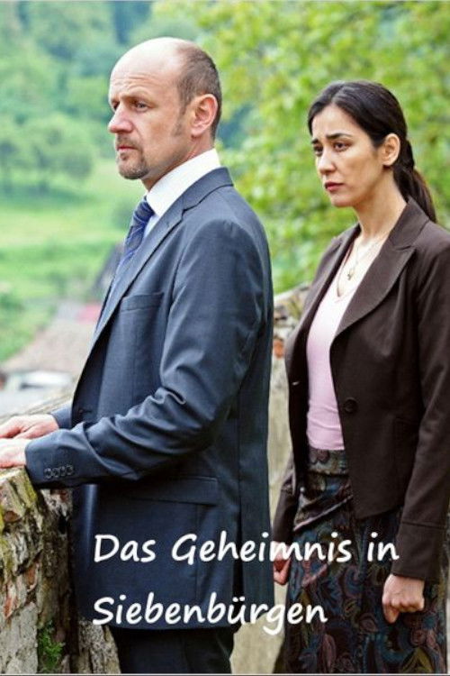 Das Geheimnis in Siebenbürgen (2012) poster